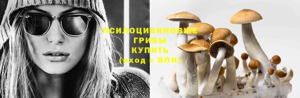 mdpv Лиски