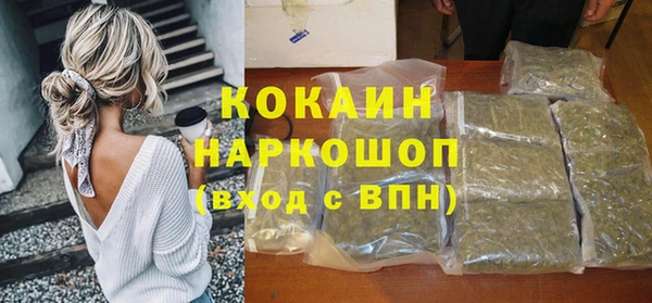 гидра Слюдянка
