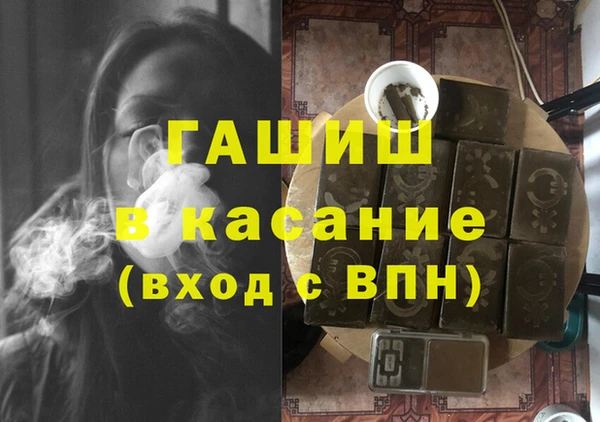 гидра Снежногорск
