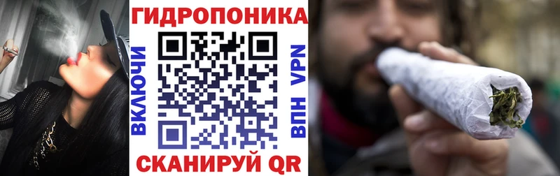 Шишки марихуана Ganja  Питкяранта 
